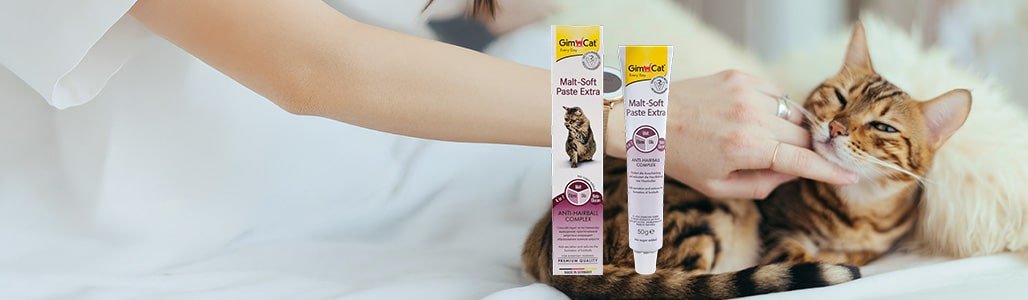 pt banner cat 1 opt